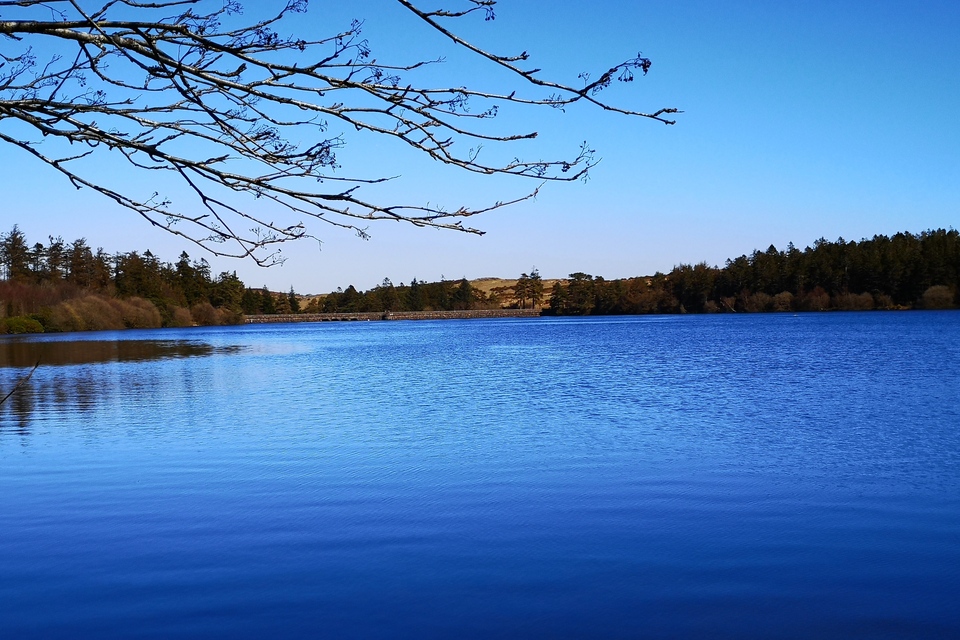 Dartmoor Reservoir