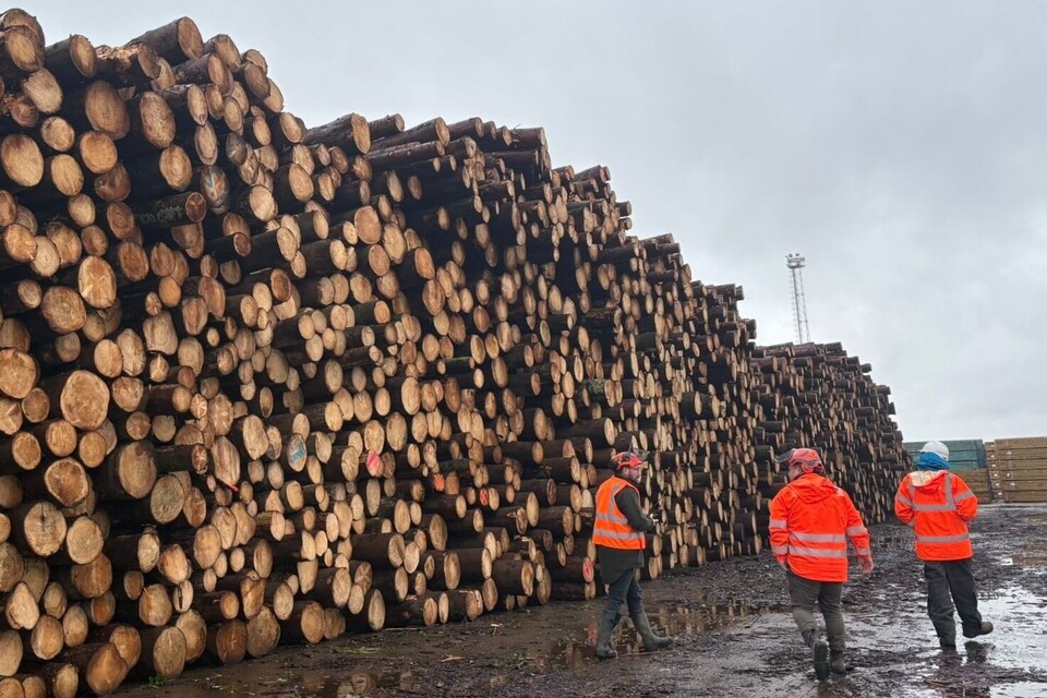 Forestry_workers_walking_next_to_a_log_stack.jpg