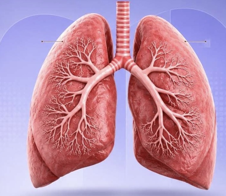 WHO Urges Immediate Action as New Cancer Cases Expected to Nearly Double by 2050