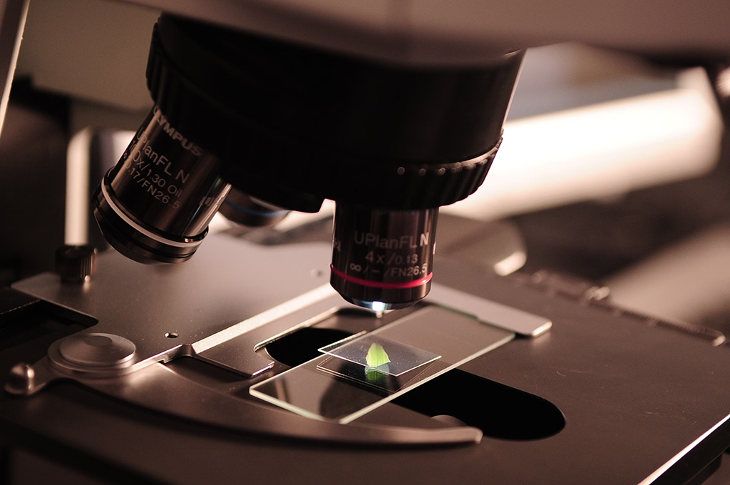 Toolkit published to help civil servants engage with academics