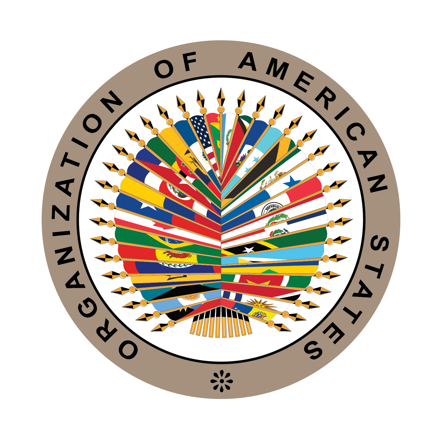 General Assembly of the Organization of American States