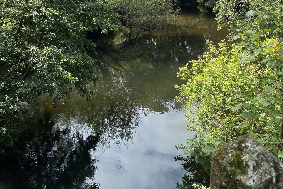 Sewage was discharged into the River Camel in Cornwall more than 336 times