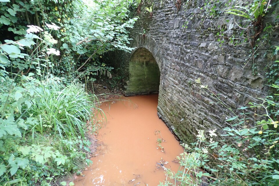 The Tanhouse Stream After Silt Entered the Watercourse