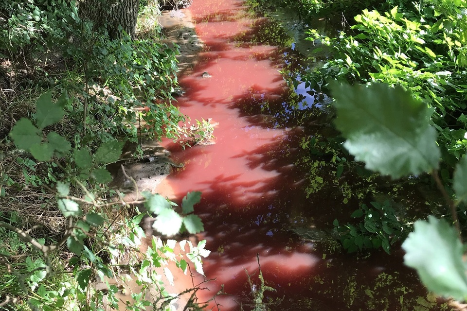 Housing Company Fined £300,000 for Sewage Pollution
