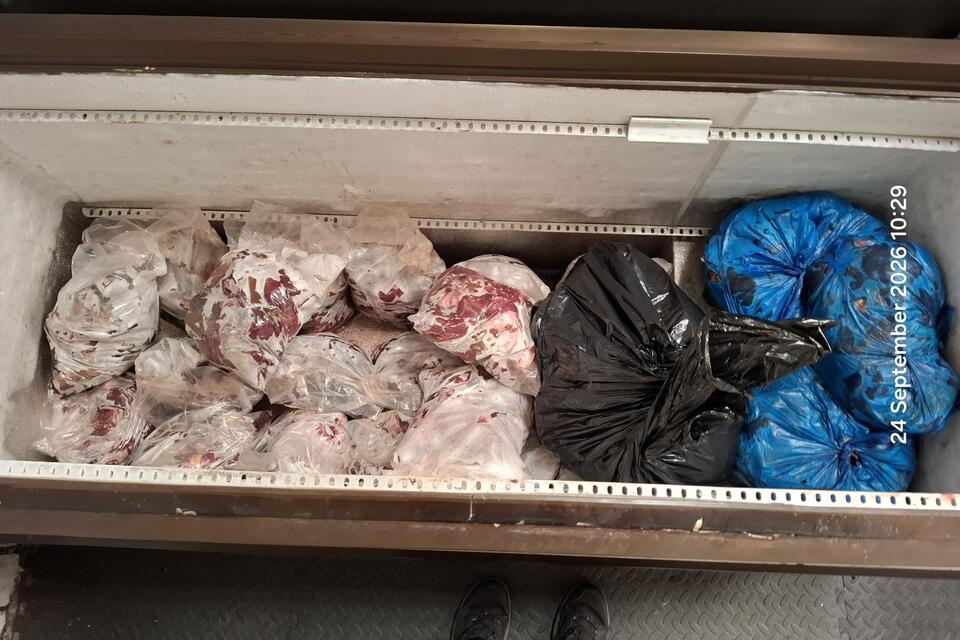 Unidentified meat removed from the human food chain by NFCU and partners