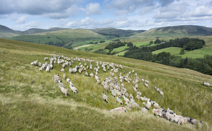 £30M Boost for Farmers Leading the Way in Nature Restoration