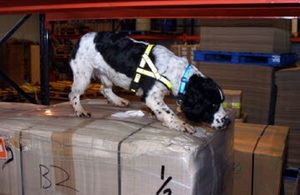 Animal Medicine Seizure Notice: Parcel Shipped from the USA Addressed to Premises in County Down