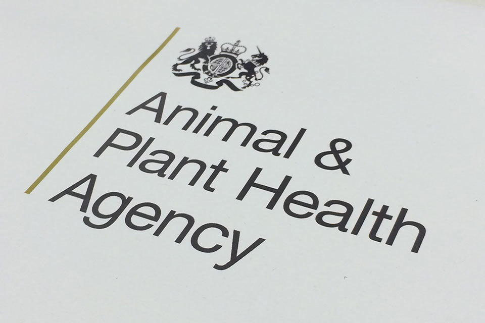 APHA Hosts Celebration of a Century’s Work