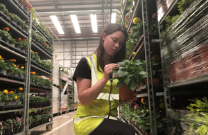 APHA Launches Recruitment Campaign for Plant Health Inspectors