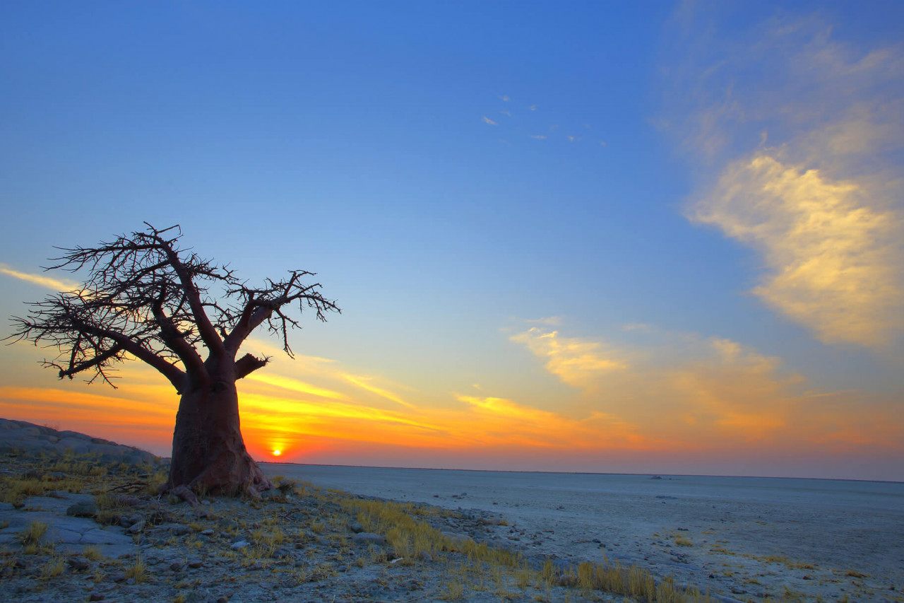 Botswana National Day