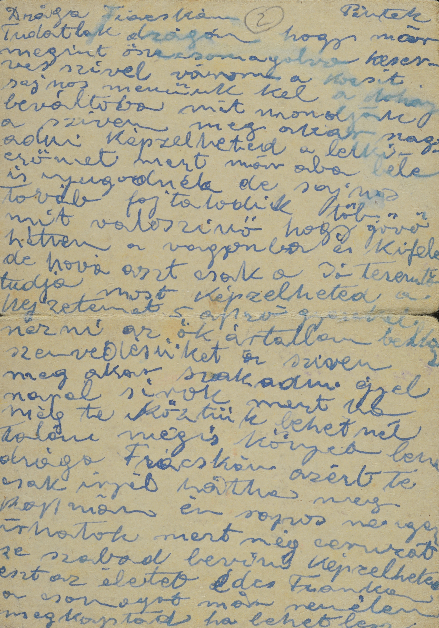 Bracha Igaz's Last Postcard