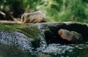 Chilterns Chalk Streams Conference - Position Statement