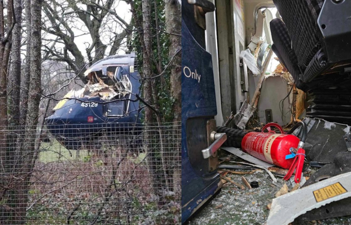 Collision With a Tree Near Broughty Ferry