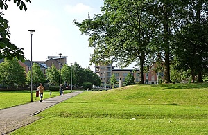 People walking through green space