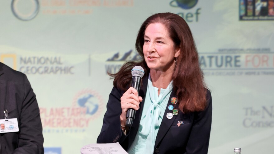 CORVI: From Land to Seascapes, Building Climate Resilience for Island States and Coastal Communities