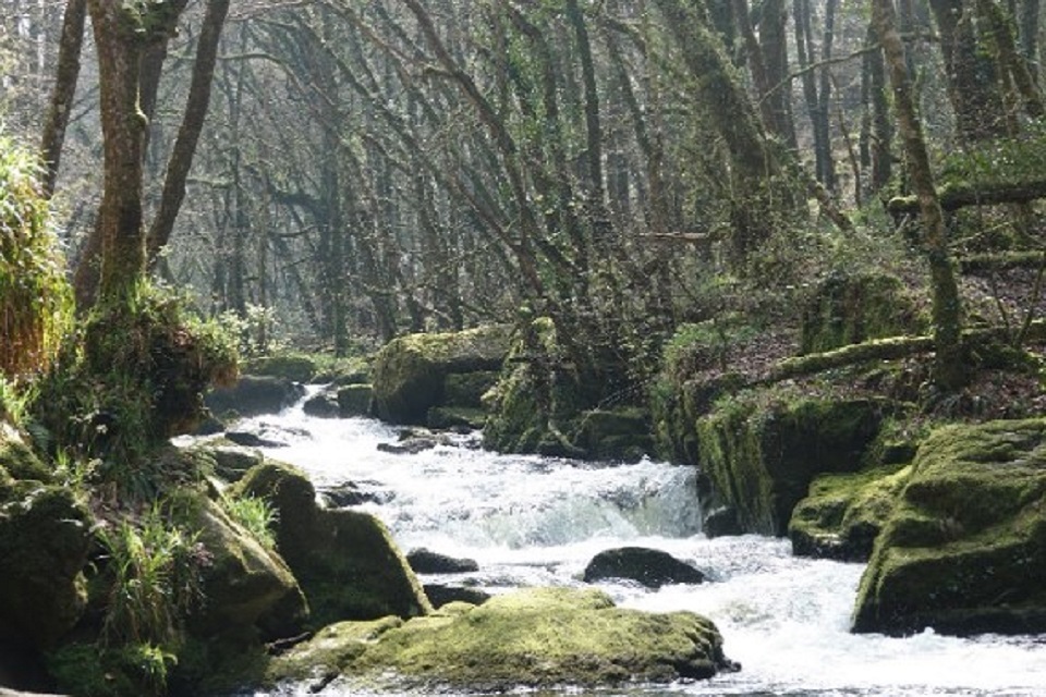 Discover Nature with this Year’s National Nature Reserves Week
