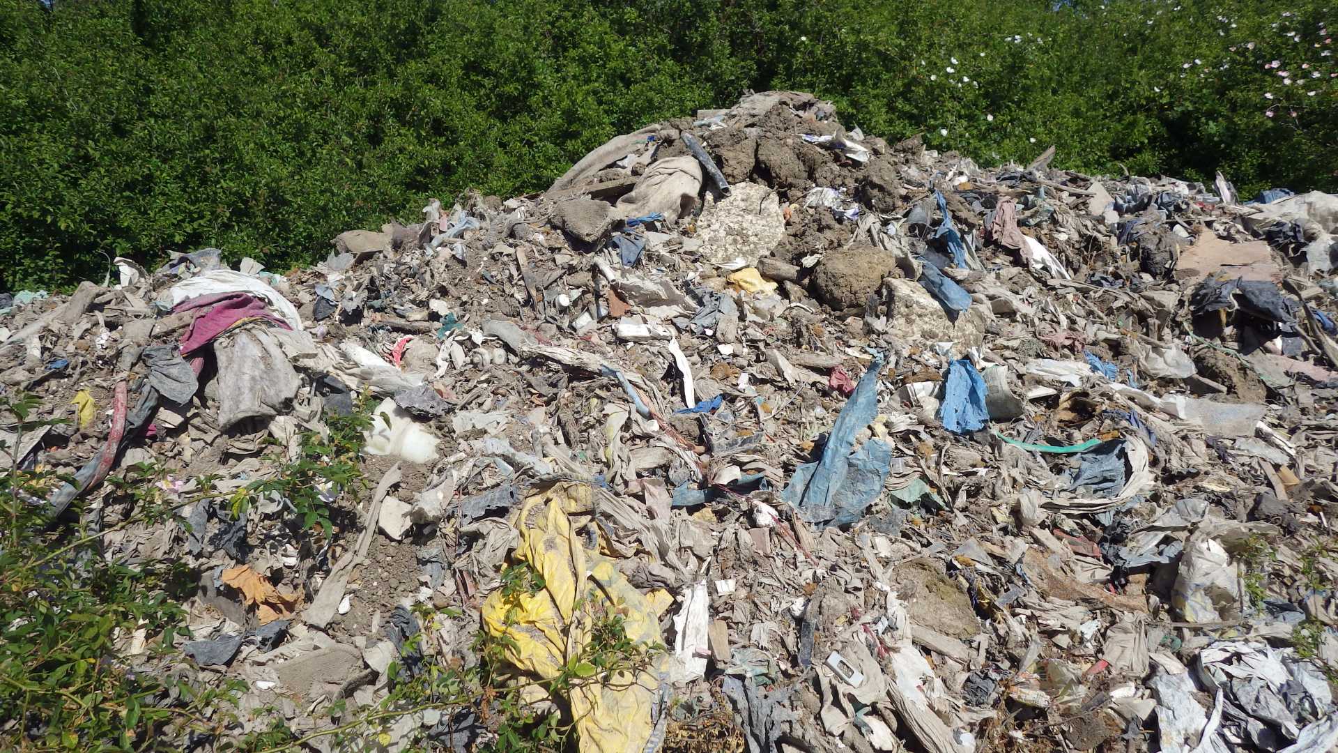 Essex Man Jailed for 13 Months for Illegal Waste Operation