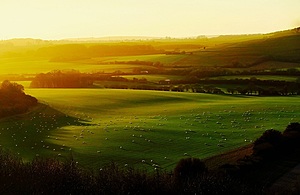 Eustice Unveils Plans for Future Greener Farming