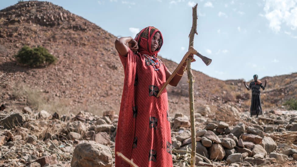 Five Months of a Humanitarian Truce in Ethiopia