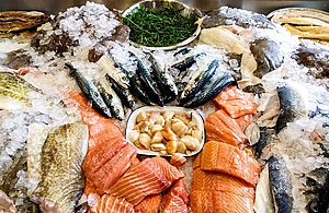 Further £1 Million Invested Into England’s Fishing Industry