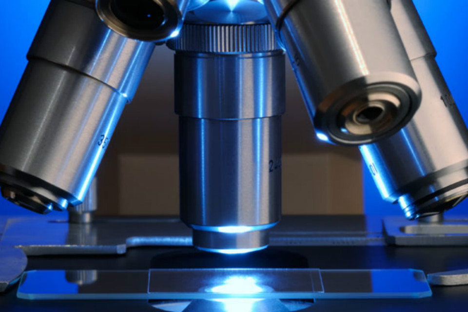Genomics Beyond Healthcare: Future Uses and Considerations of Genomic Science