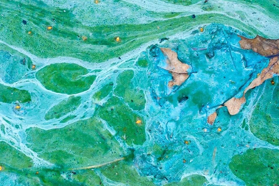 Geovation Launches Environmental Challenge to Tackle Coastal Pollution
