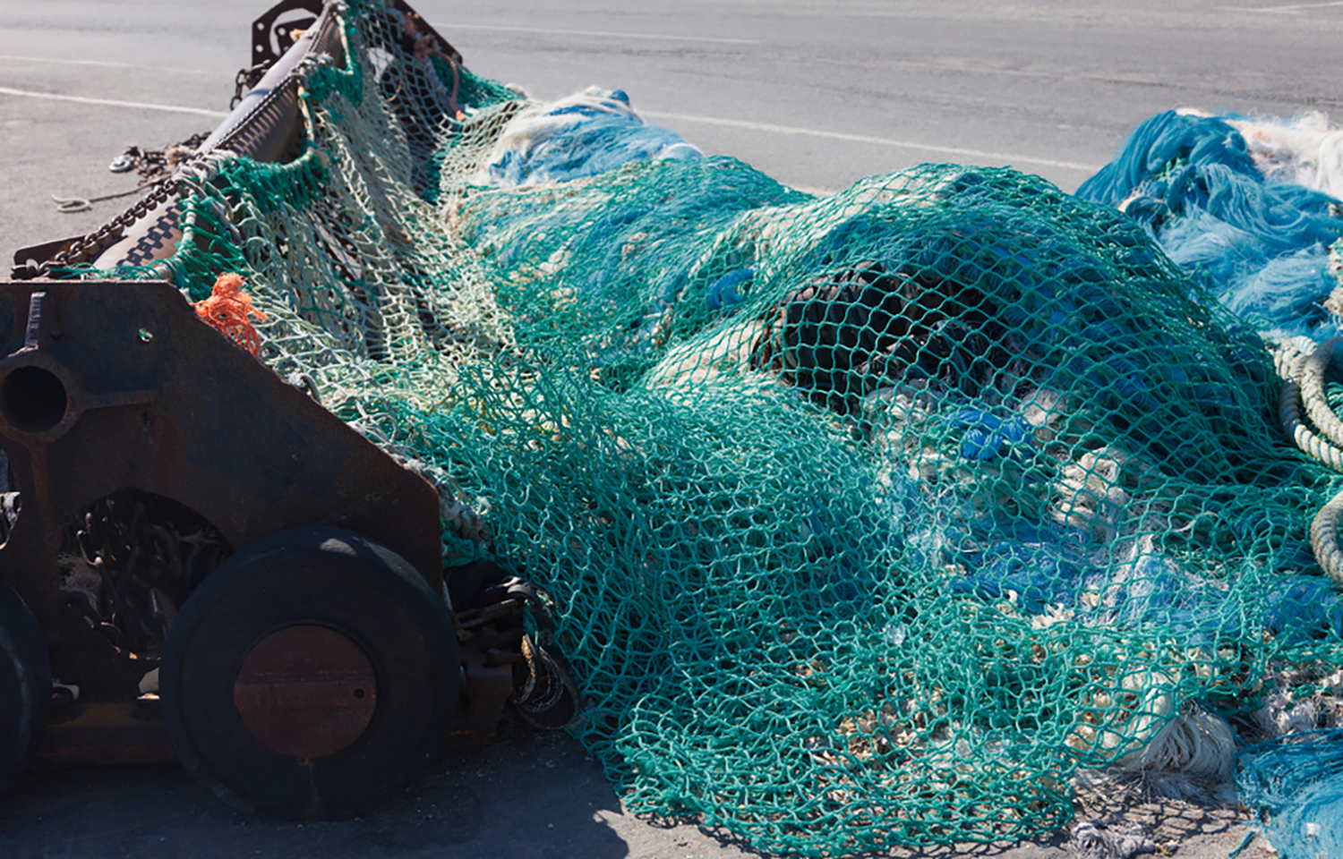 Government Proposes to Extend Ban on Destructive Bottom trawling