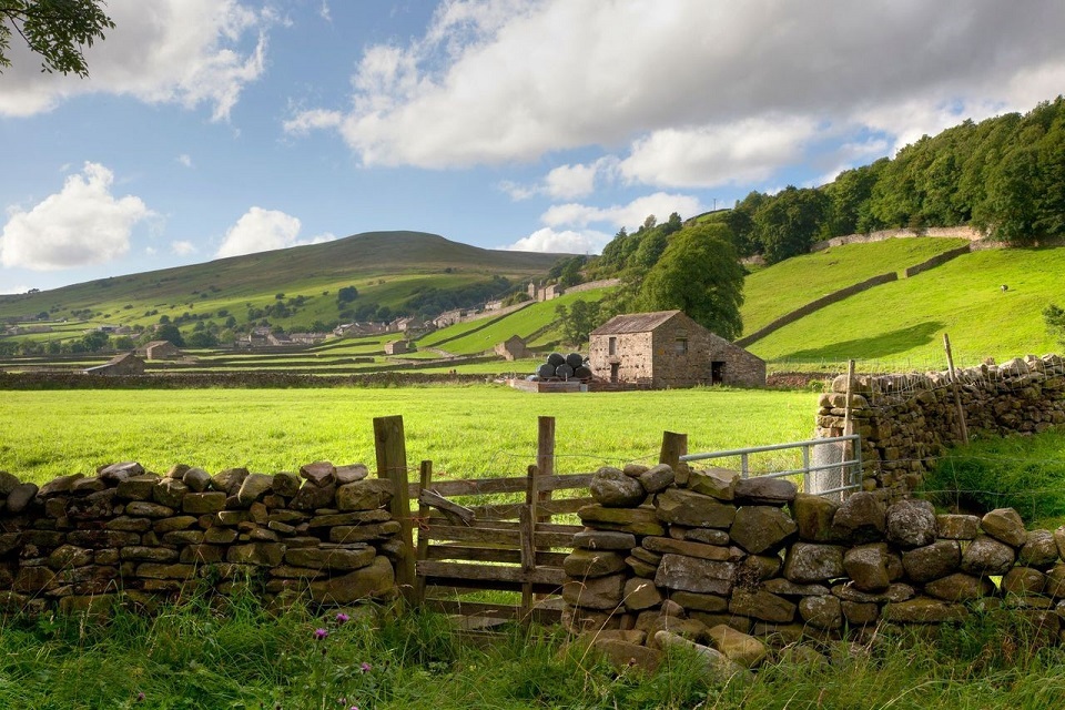 Schemes are designed to provide farmers with a range of options from which they can choose the best for their business now we have left the EU