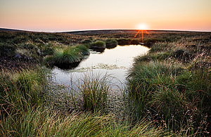 Green Projects Given Support to Attract Private Sector Investment