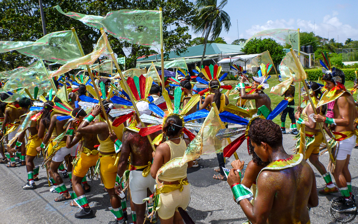 Guyana Republic National Day