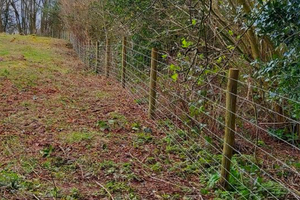 Some of the new fencing at Titley Pool  Image credit: Herefordshire Wildlife Trust