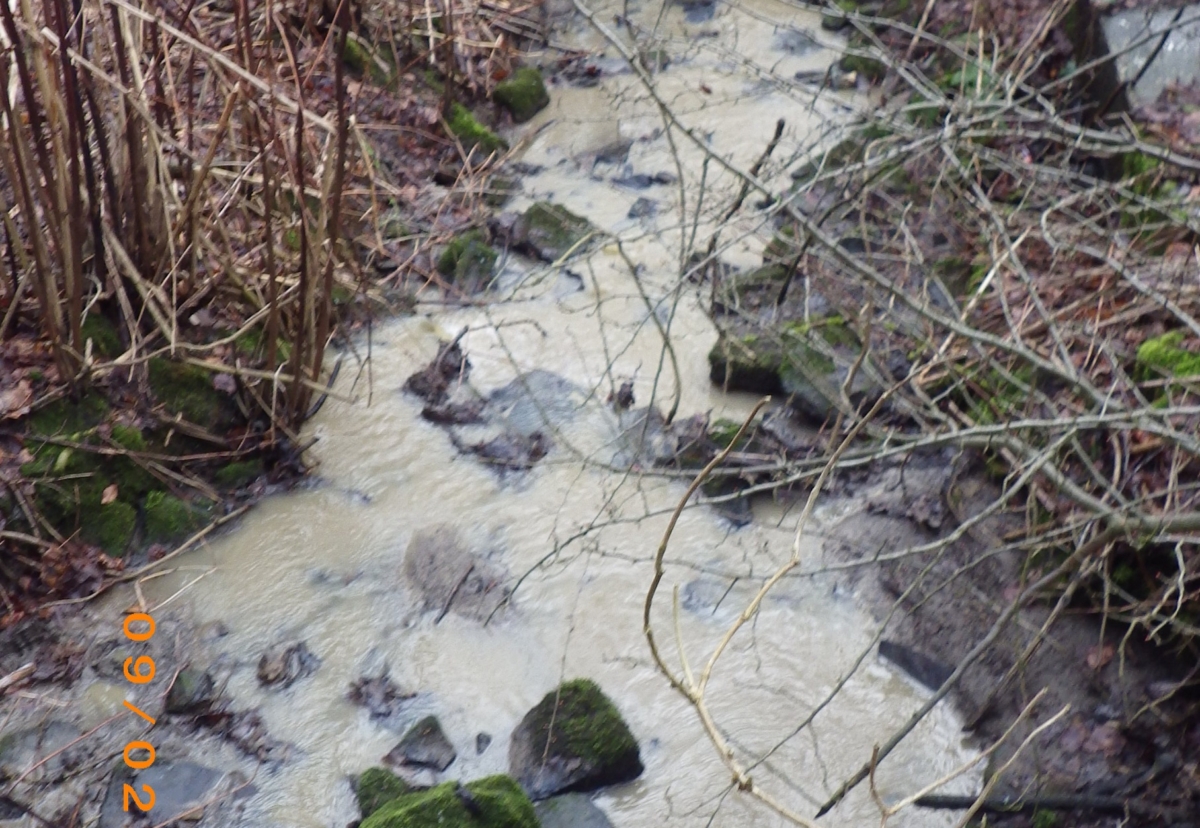Housing Company Fined for Polluting Watercourse