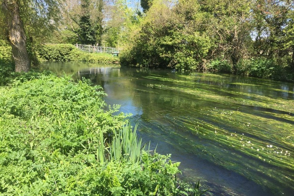 Ilchester Estate Pays Nearly £28,000 for Over Abstracting Water