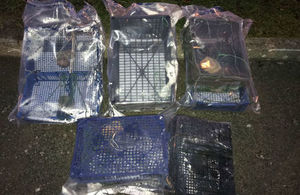 Illegal Fishing Prosecution for Takeaway Shop Worker