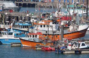 Increased Support for Fishing and Shellfish Businesses