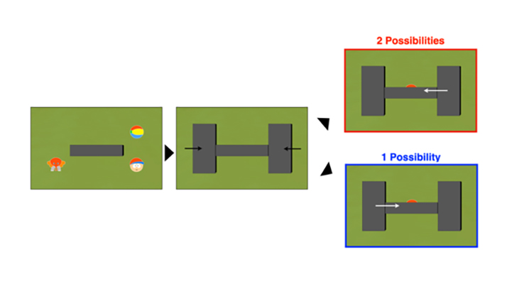 Infants’ Pupil Changes Reveal Their Ability to Imagine and Think About Possibilities