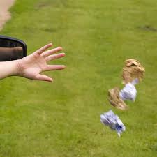 Litter Louts Face Losing Their Driving Licences