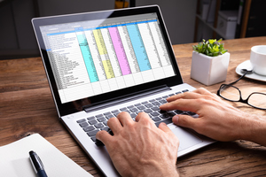 Merger of Payment Software Providers Raises Competition Concerns