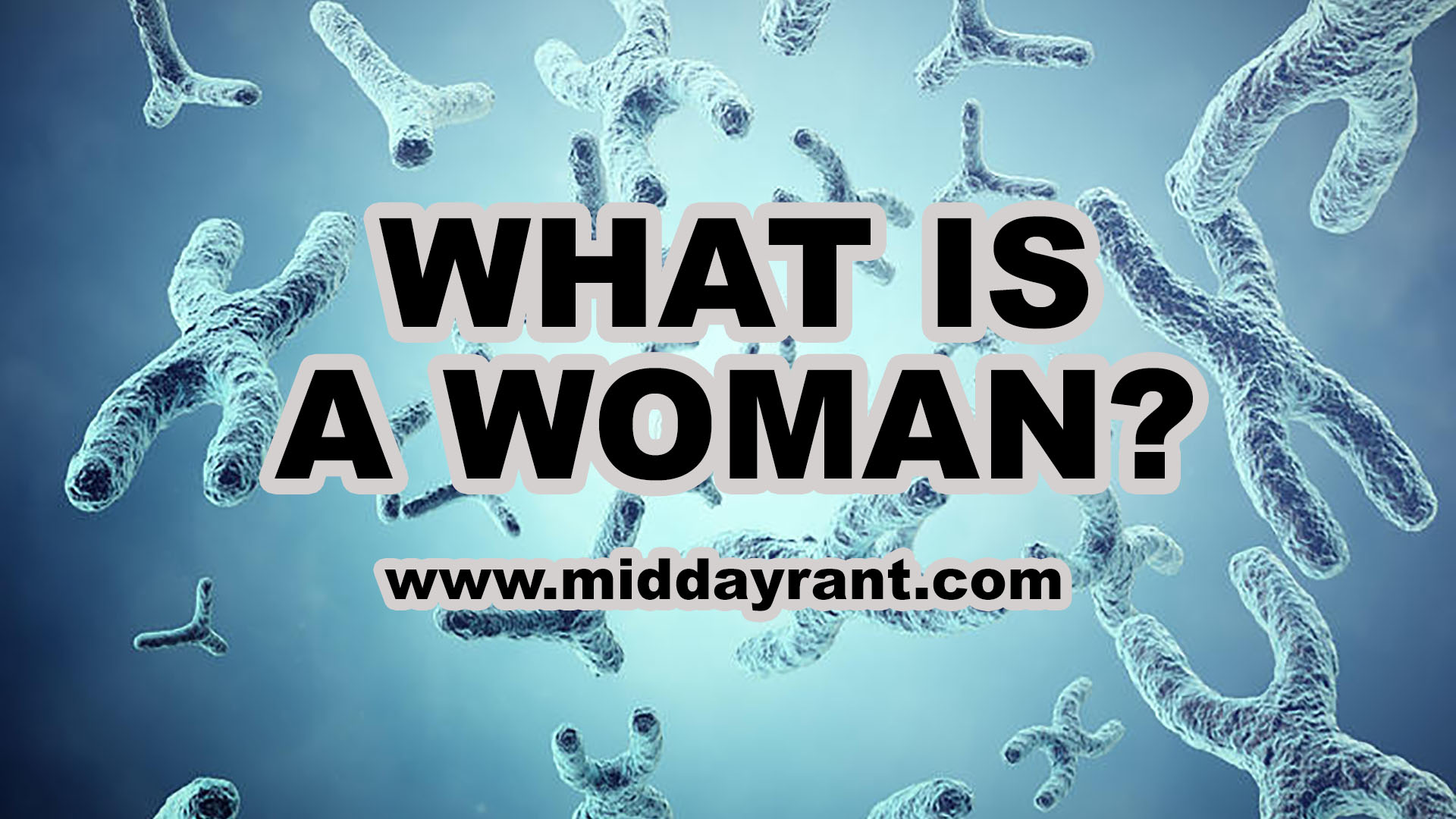 Midday Rant - What is a Woman?
