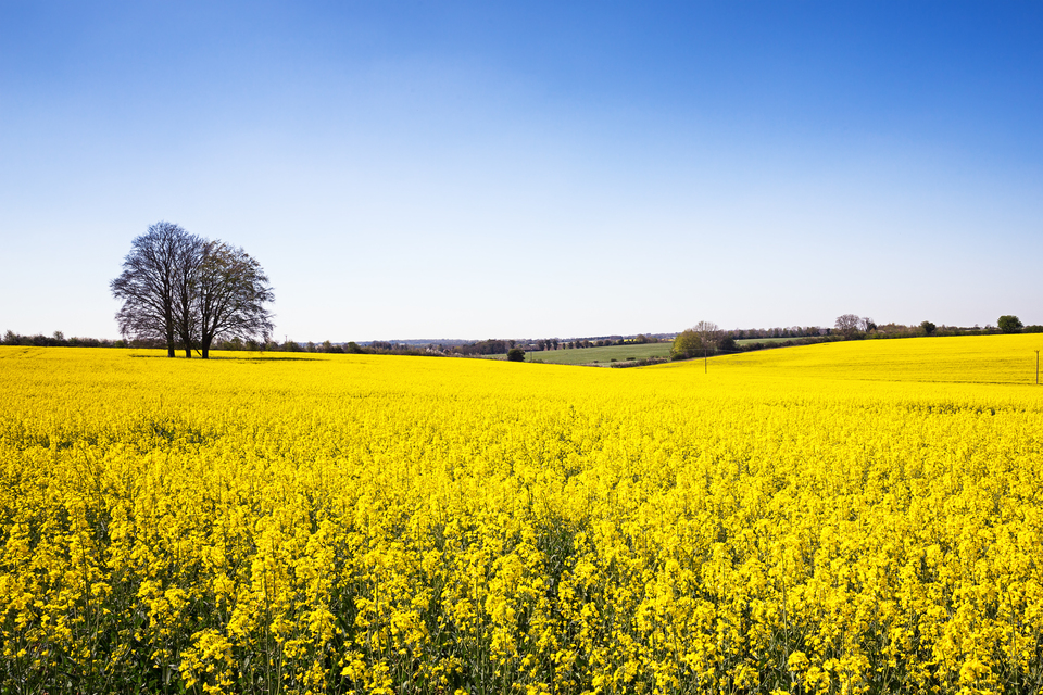 More than £400 Million in Taxpayers’ Money Paid Out for “Sustainable” Food Production