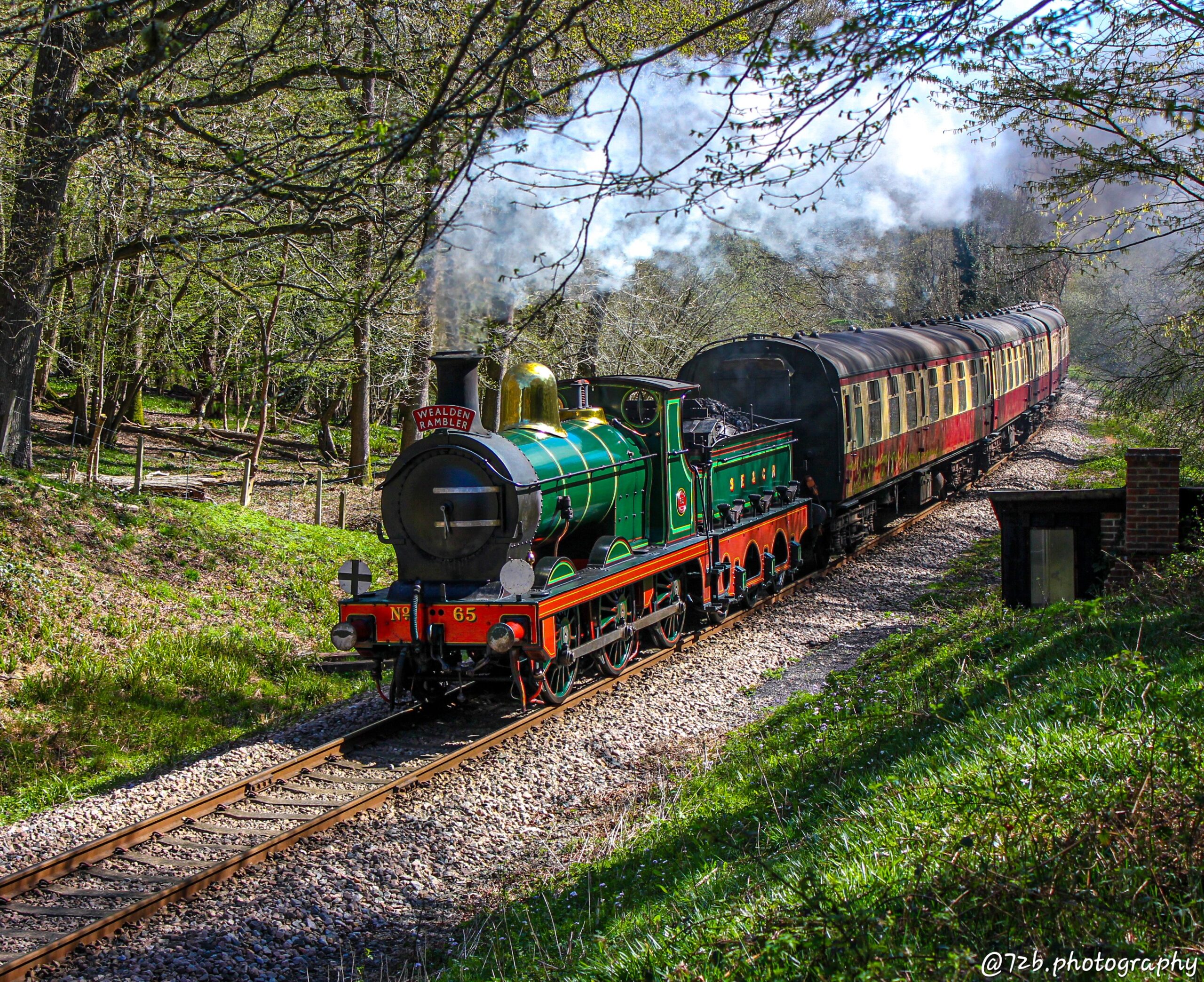 Near Miss Involving a Member of Staff on the Bluebell Railway