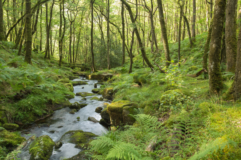 New Funding for National Parks Announced