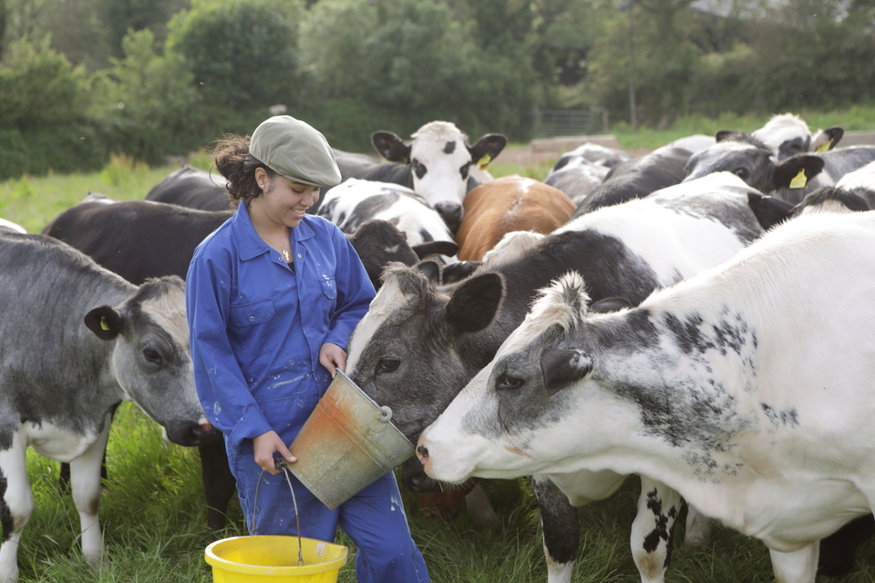 New Regulations to Promote Fairness and Transparency for Dairy Sector