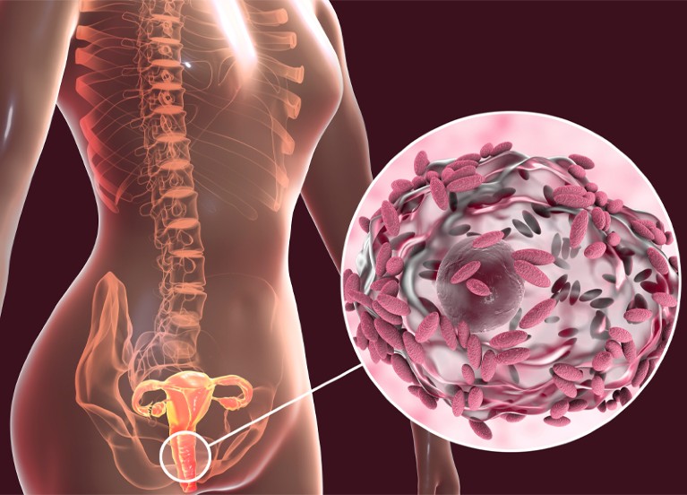 New Review Highlights Untapped Potential of the Vaginal Microbiome in Women’s Health