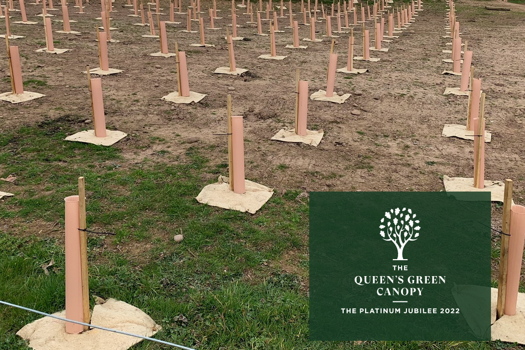 New Trees to Benefit Community, Wildlife and Environment in the Lower Otter