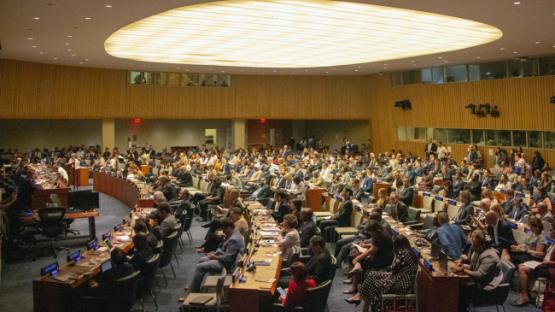 On the Adoption of the UN Convention Against Cybercrime