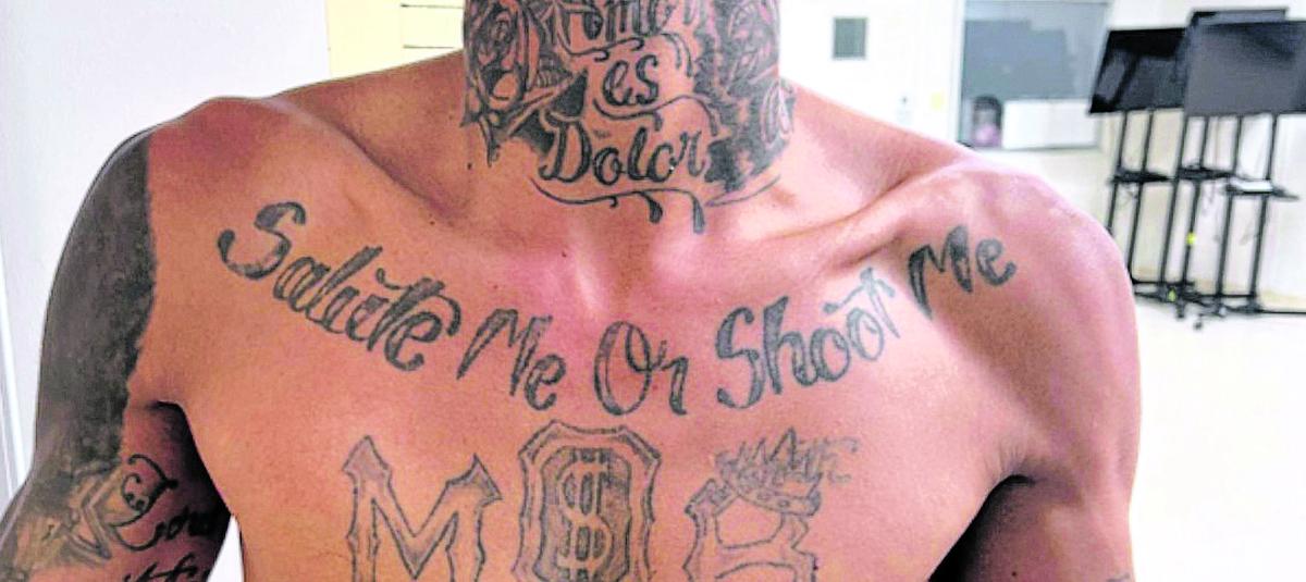 On the President’s Action to Protect Americans from Dangerous Foreign Gang Members