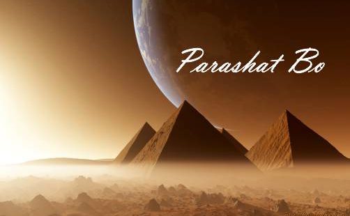 Parashat Bo