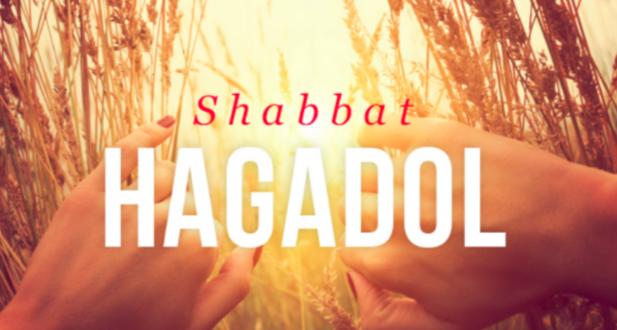 Parashat Metzora - Shabbat HaGadol