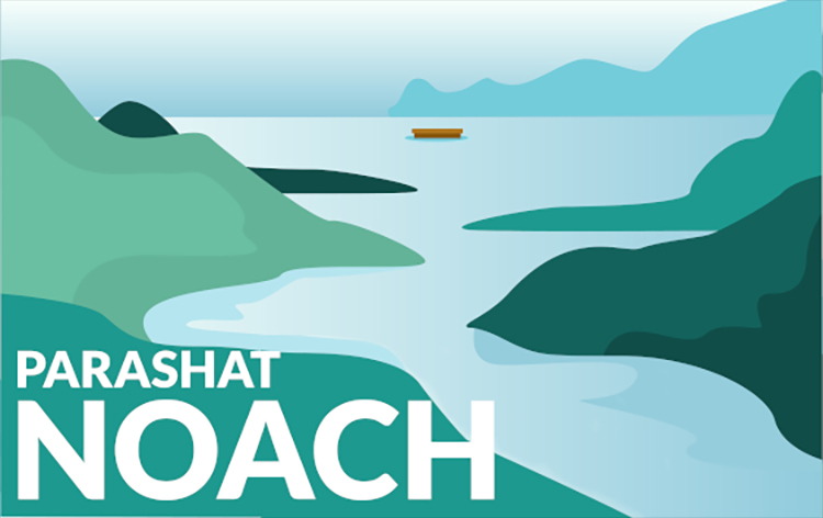 Parashat Noach